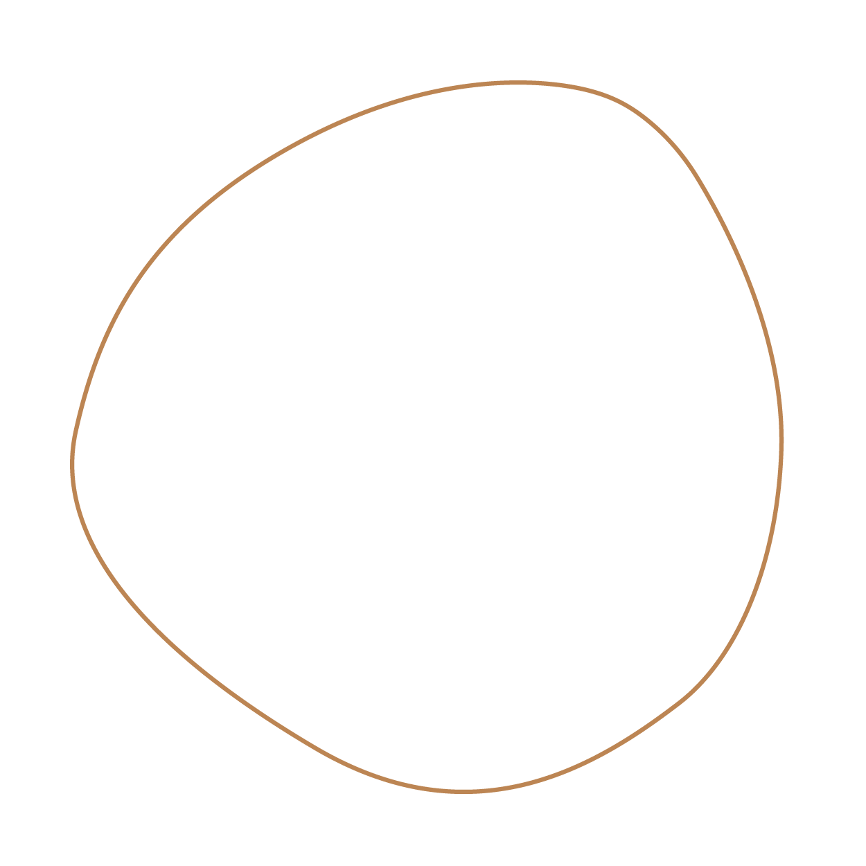 circle_1